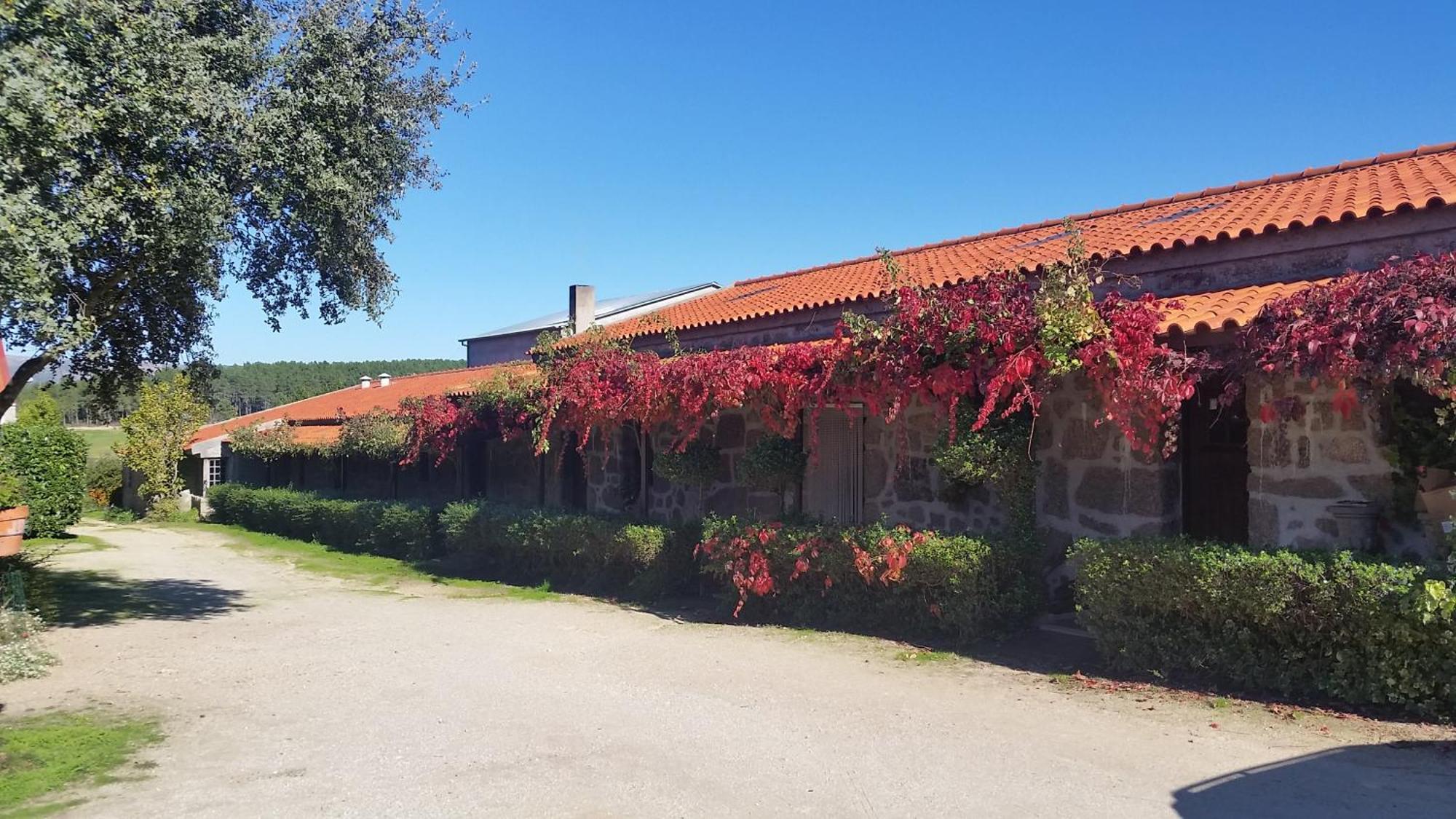 4Quintas Minhocal Exterior photo